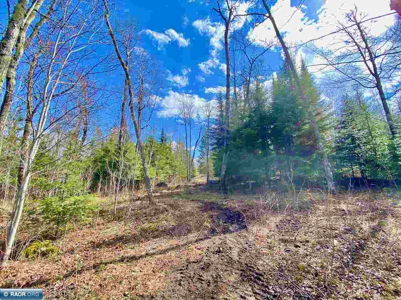 Lot 5 Boulder Ridge Road Cook, MN 55723 - Photo 10 of 19