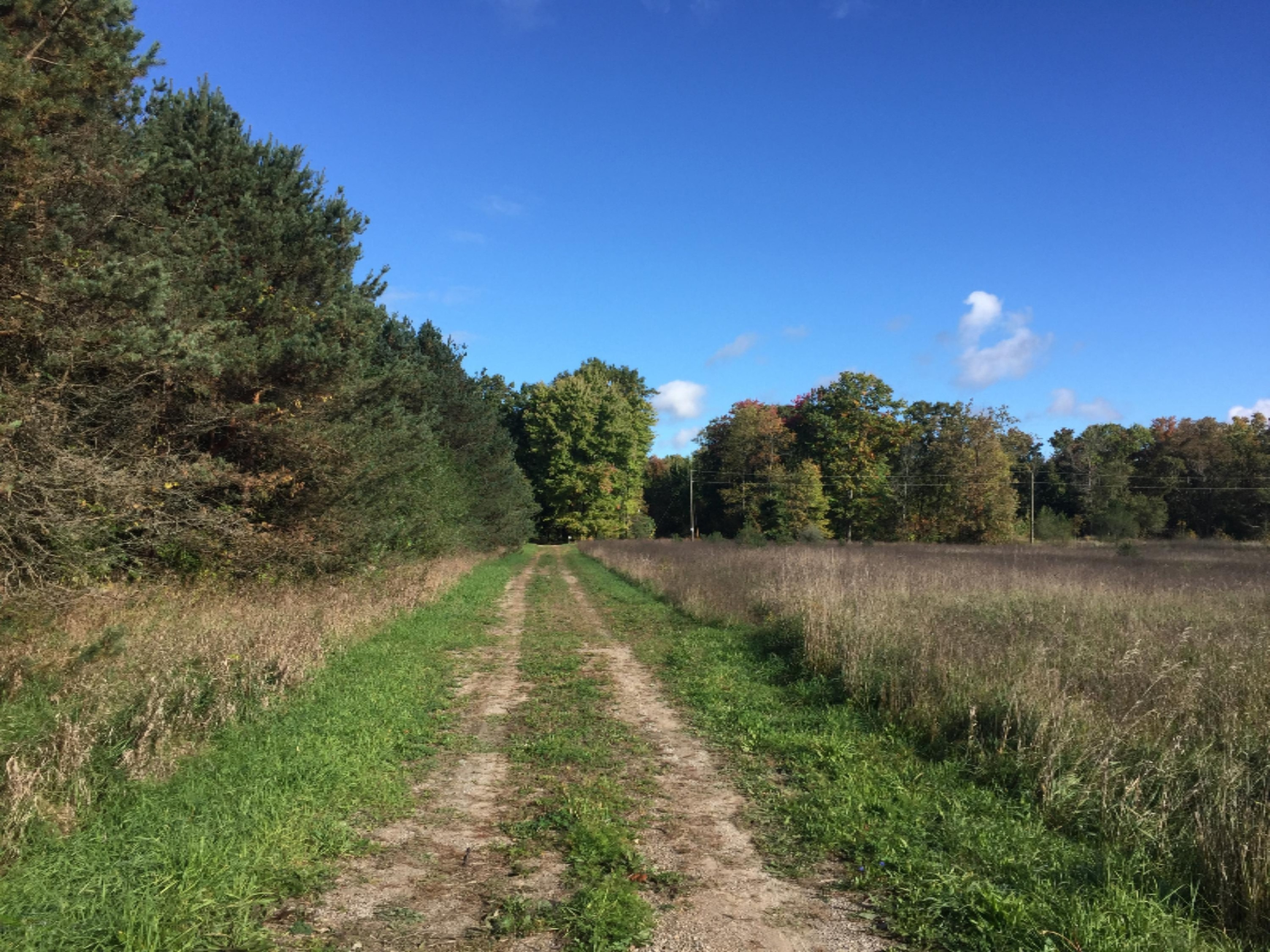 11500 Hall Road Ravenna, MI 49451 - Photo 17 of 19 Photo Oct 13, 10 48 56 AM