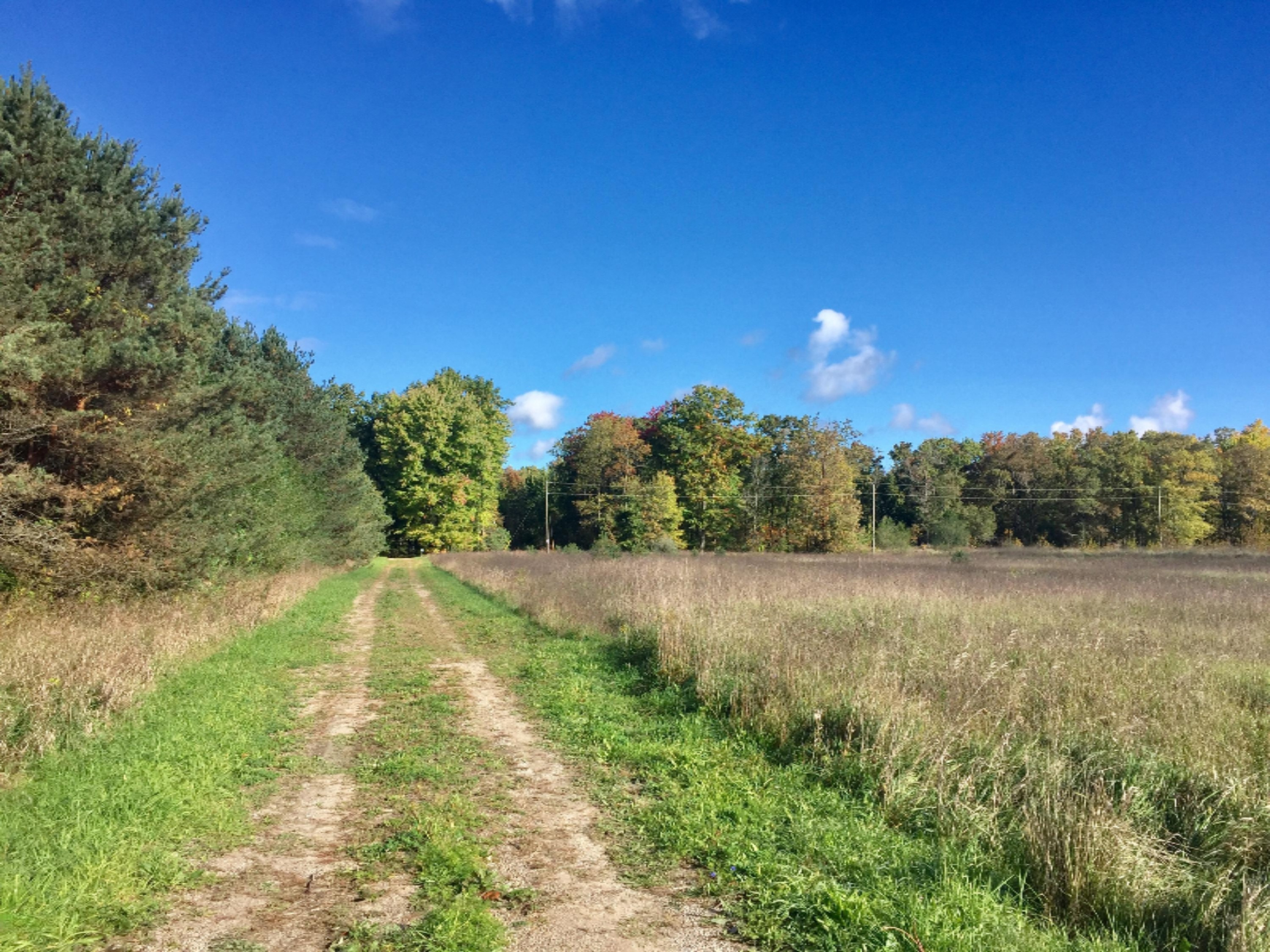 11500 Hall Road Ravenna, MI 49451 - Photo 18 of 19 Photo Oct 13, 10 48 58 AM