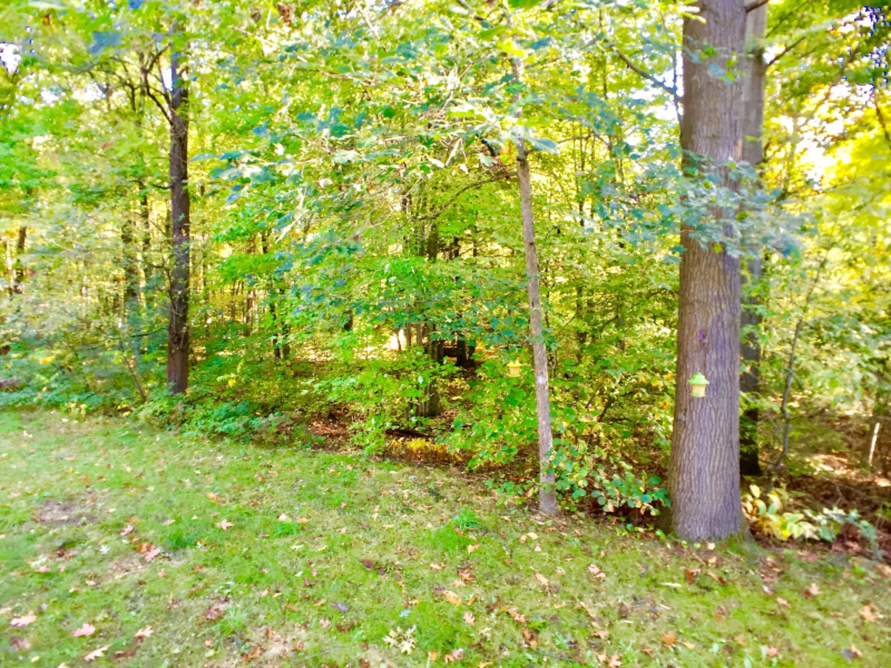 11500 Hall Road Ravenna, MI 49451 - Photo 19 of 19 Photo Oct 13, 10 54 16 AM