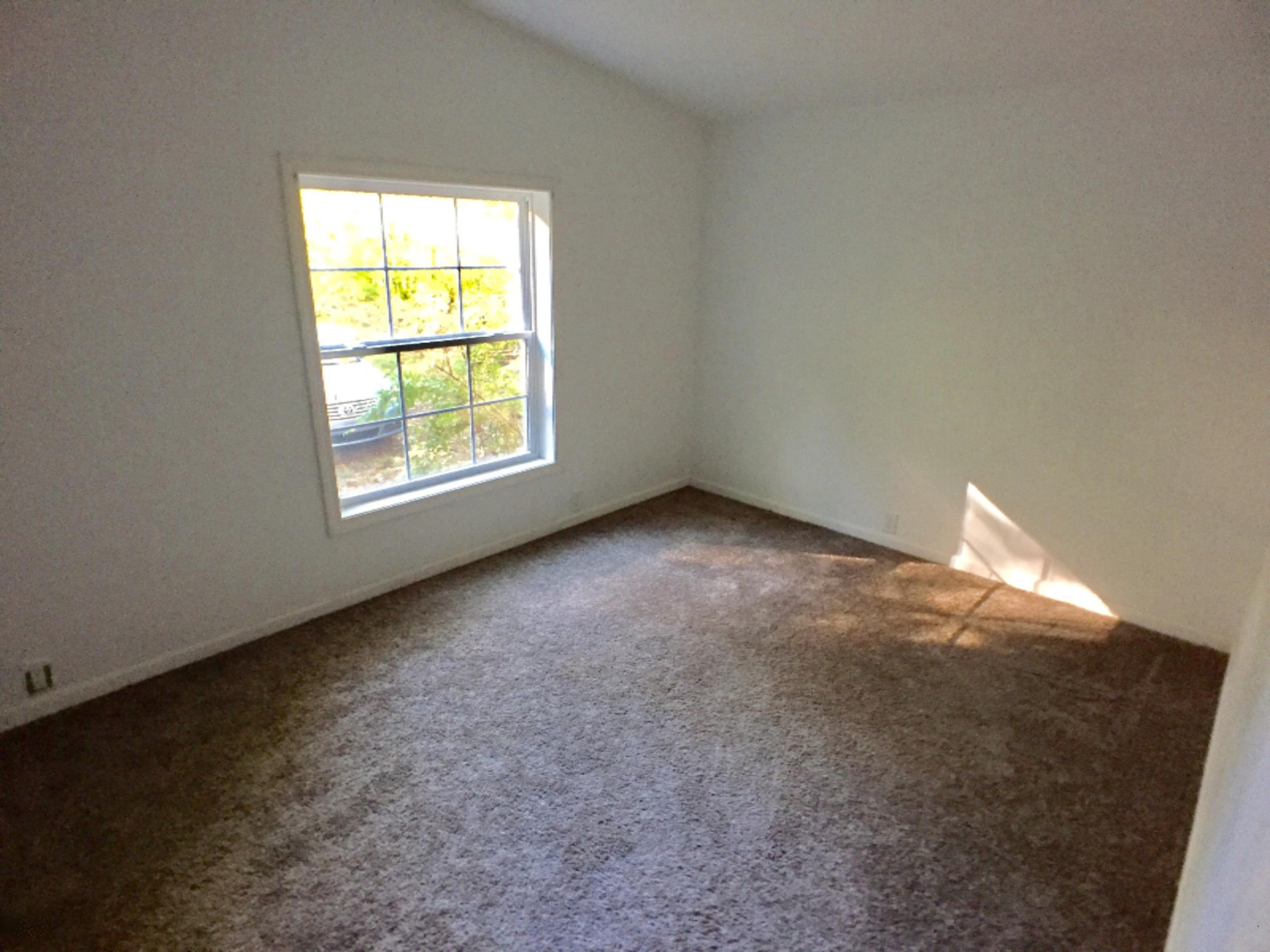 11500 Hall Road Ravenna, MI 49451 - Photo 8 of 19 Photo Oct 13, 10 59 47 AM