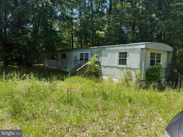 a backyard of a house with plants and large trees