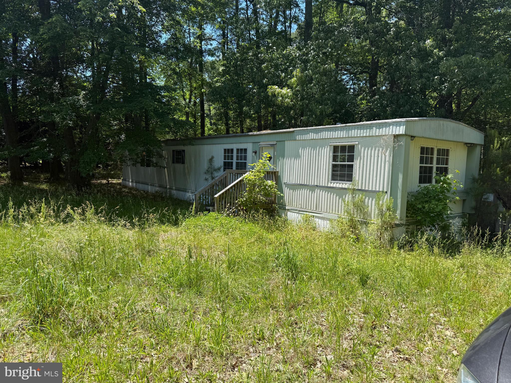 a backyard of a house with plants and large trees