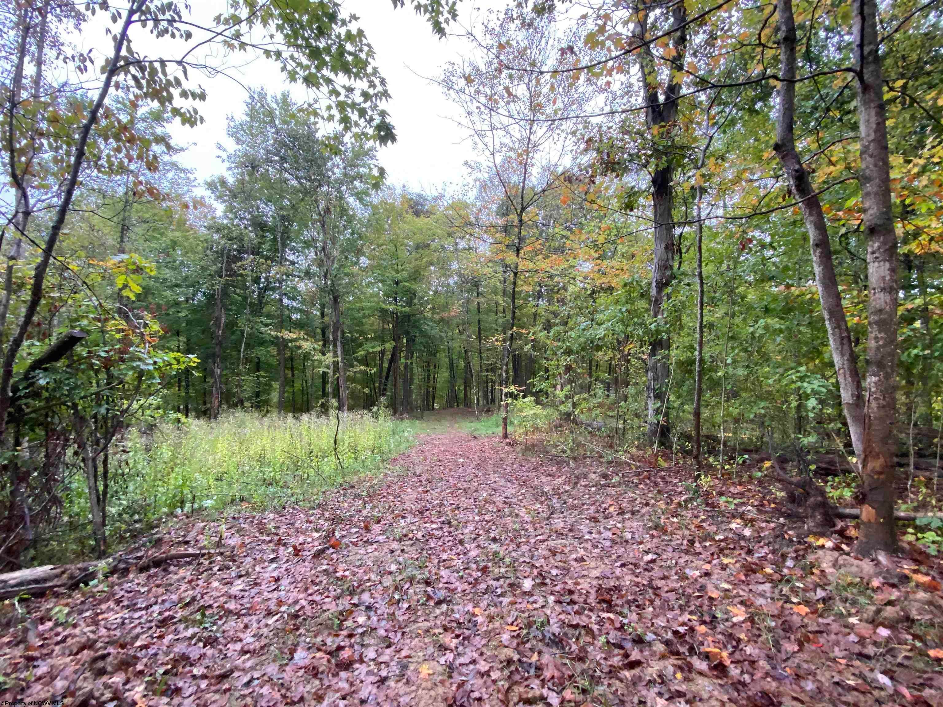 Tbd Dallison Road Walker, WV 26180 - Photo 5 of 20 Gallery Image 5