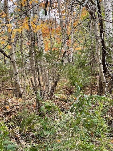 129 Winding Hill Road St. Albans, ME 04971 - Photo 5 of 9 4