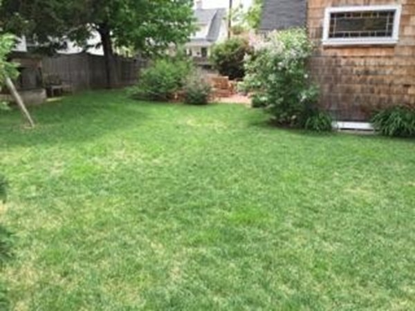 39 Ashbrook Street Springfield, MA 01118 - Photo 15 of 16