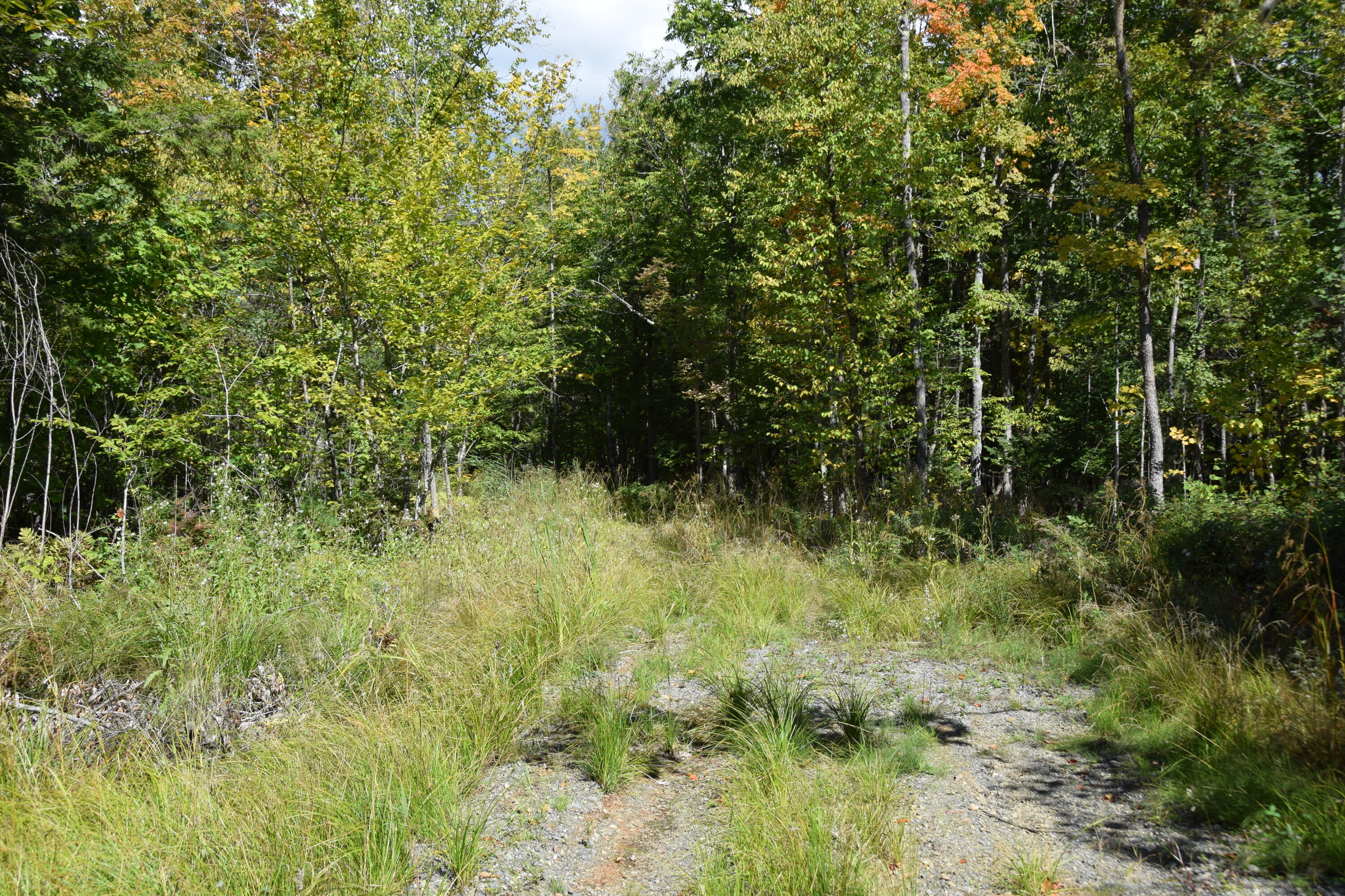 M10-l11 Campbell Road Athens, ME 04912 - Photo 5 of 22 DSC_0005