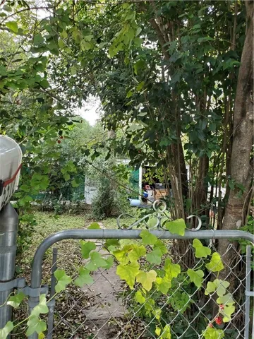 a view of a garden with a tree