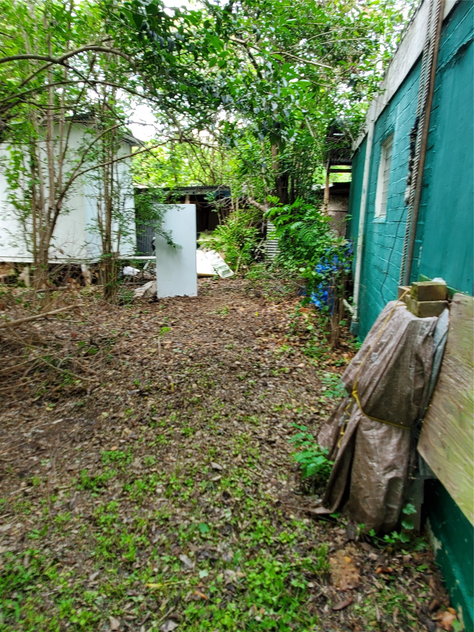 5512 Joe Sayers Avenue Austin, TX 78756 - Photo 14 of 19 a view of a backyard with chairs and a large tree