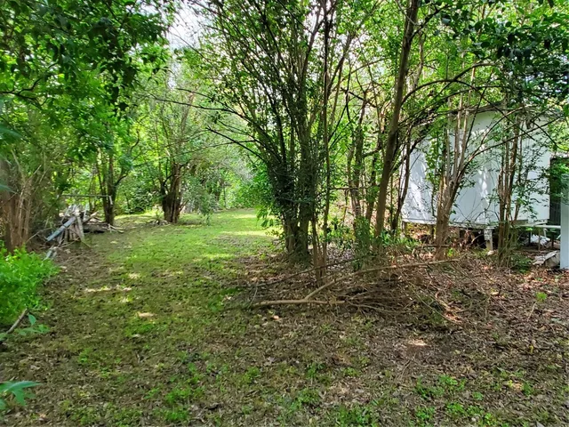 a view of outdoor space with trees all around