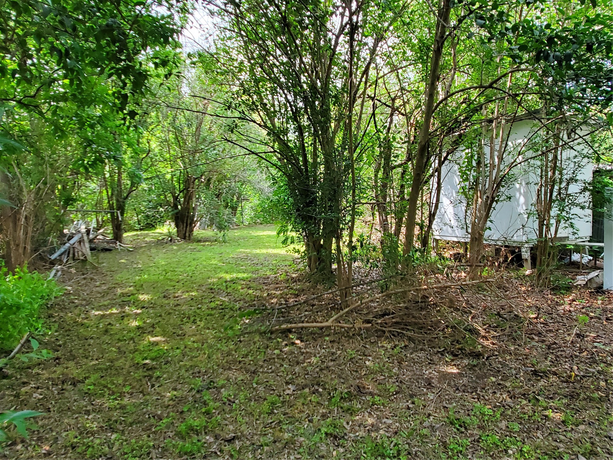 5512 Joe Sayers Avenue Austin, TX 78756 - Photo 16 of 19 a view of outdoor space with trees all around