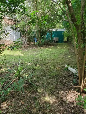 a view of a backyard with large trees