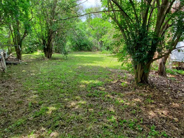 a view of a field with a tree
