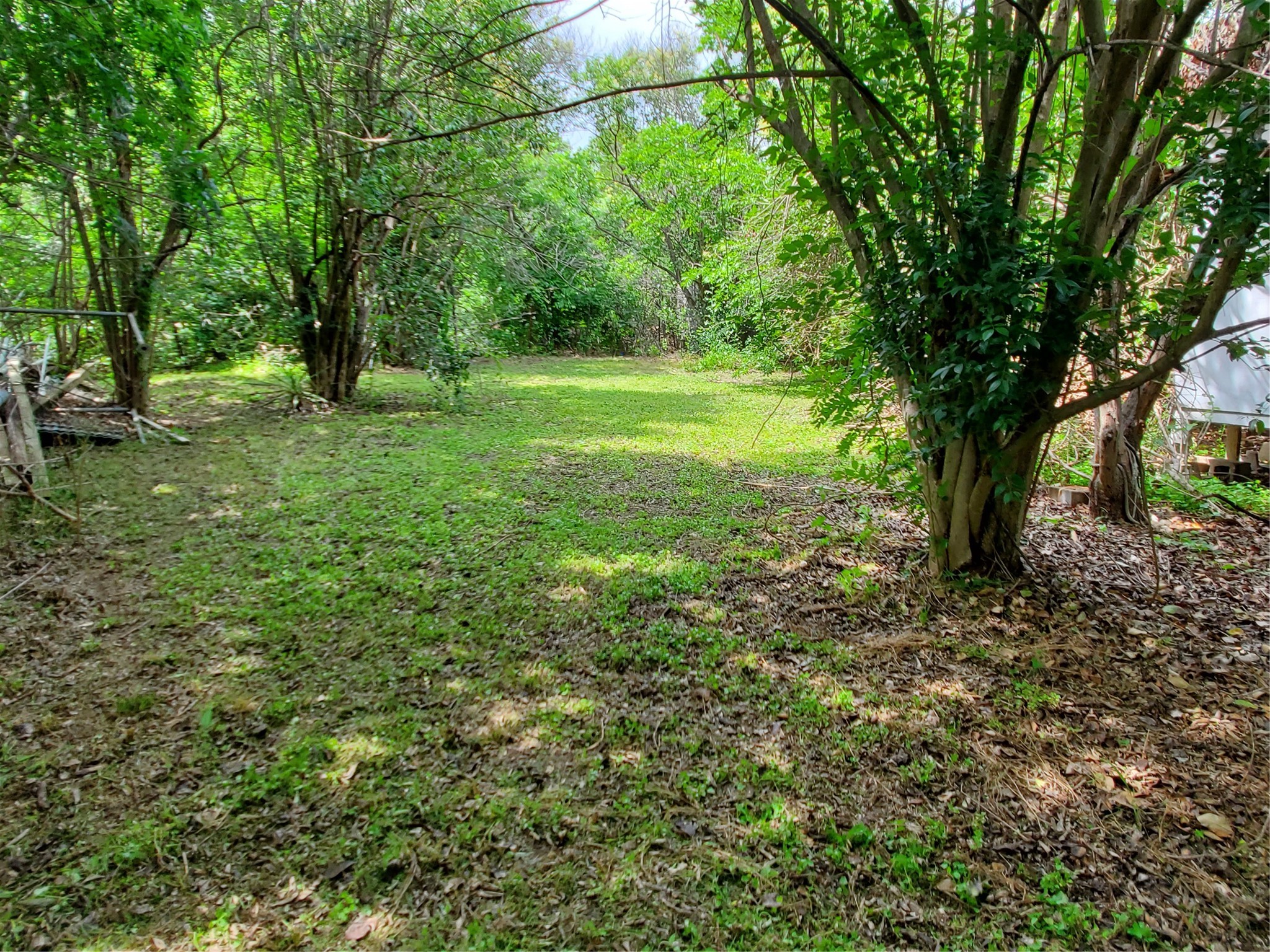 5512 Joe Sayers Avenue Austin, TX 78756 - Photo 4 of 19 a view of a field with a tree