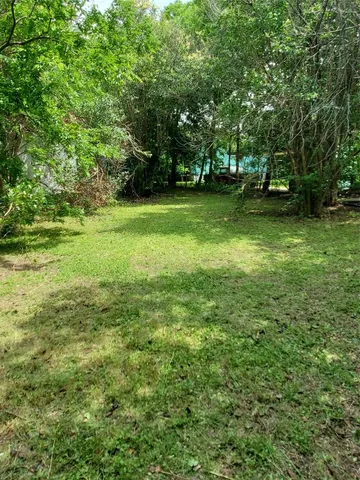 a view of a field with a trees