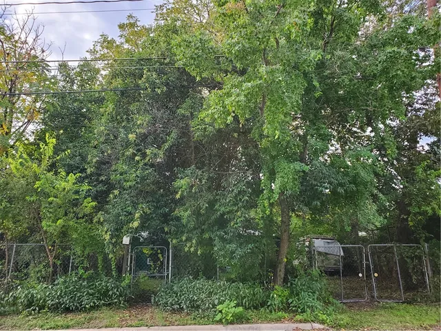 a view of a yard with a trees
