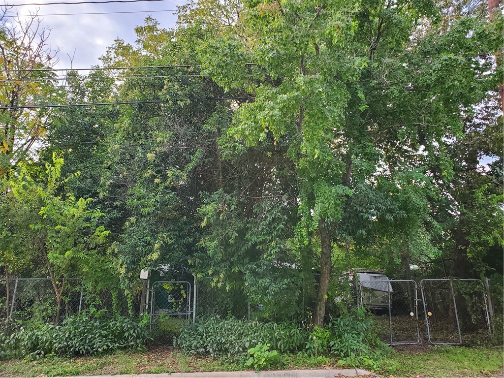 5512 Joe Sayers Avenue Austin, TX 78756 - Photo 9 of 19 a view of a yard with a trees