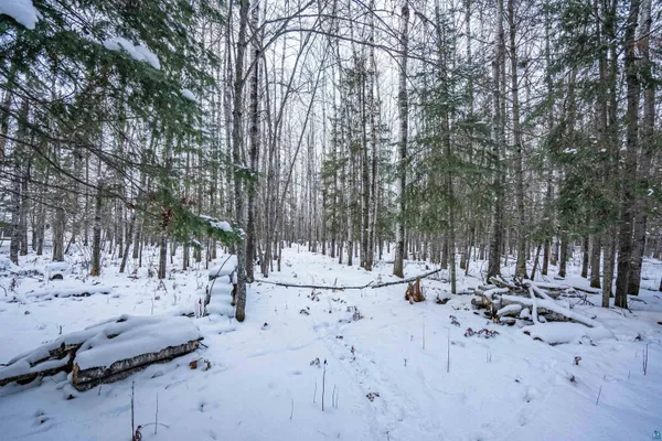 $224,900 | 0 Bass Lake Road, Gilbert, MN 55741