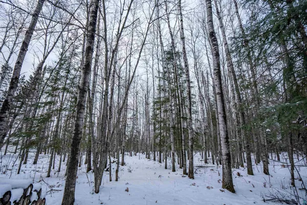 $224,900 | 0 Bass Lake Road, Gilbert, MN 55741