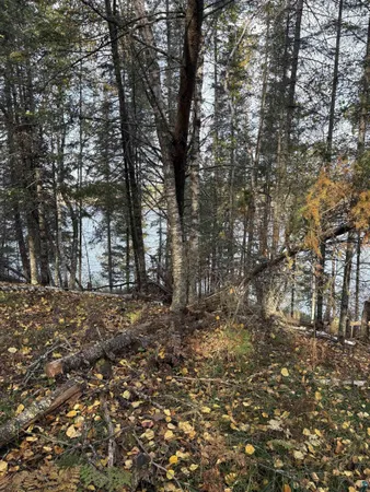 $224,900 | 0 Bass Lake Road, Gilbert, MN 55741