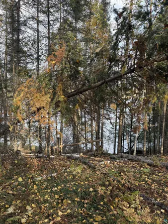 $224,900 | 0 Bass Lake Road, Gilbert, MN 55741