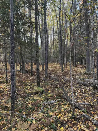 $224,900 | 0 Bass Lake Road, Gilbert, MN 55741