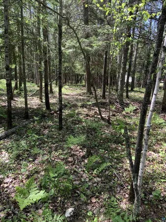 $224,900 | 0 Bass Lake Road, Gilbert, MN 55741