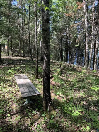 $224,900 | 0 Bass Lake Road, Gilbert, MN 55741