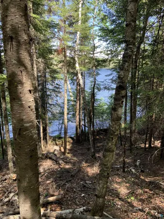 $224,900 | 0 Bass Lake Road, Gilbert, MN 55741