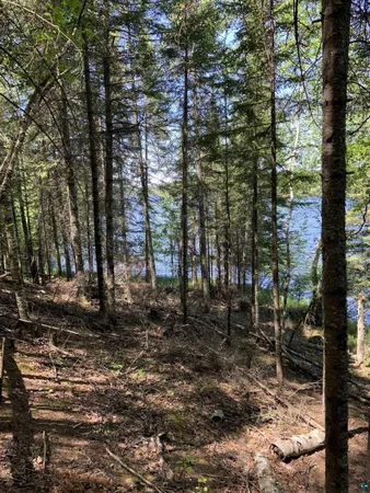 $224,900 | 0 Bass Lake Road, Gilbert, MN 55741