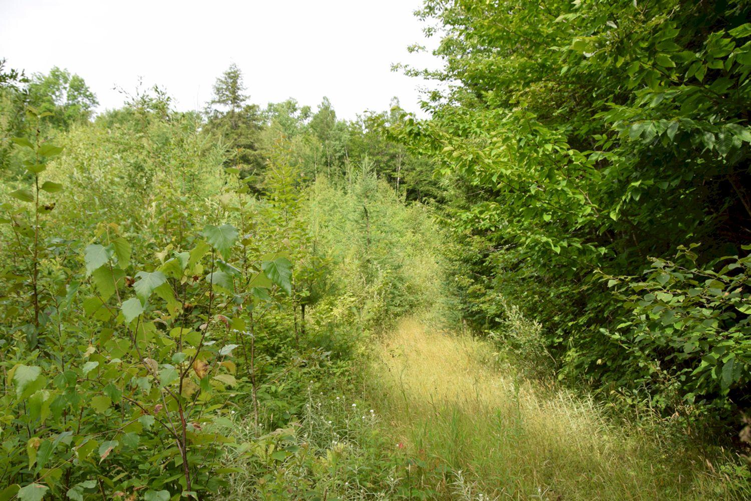 M7-l1-19-5 Pine Bluff Road Embden, ME 04958 - Photo 4 of 10 DSC_0006