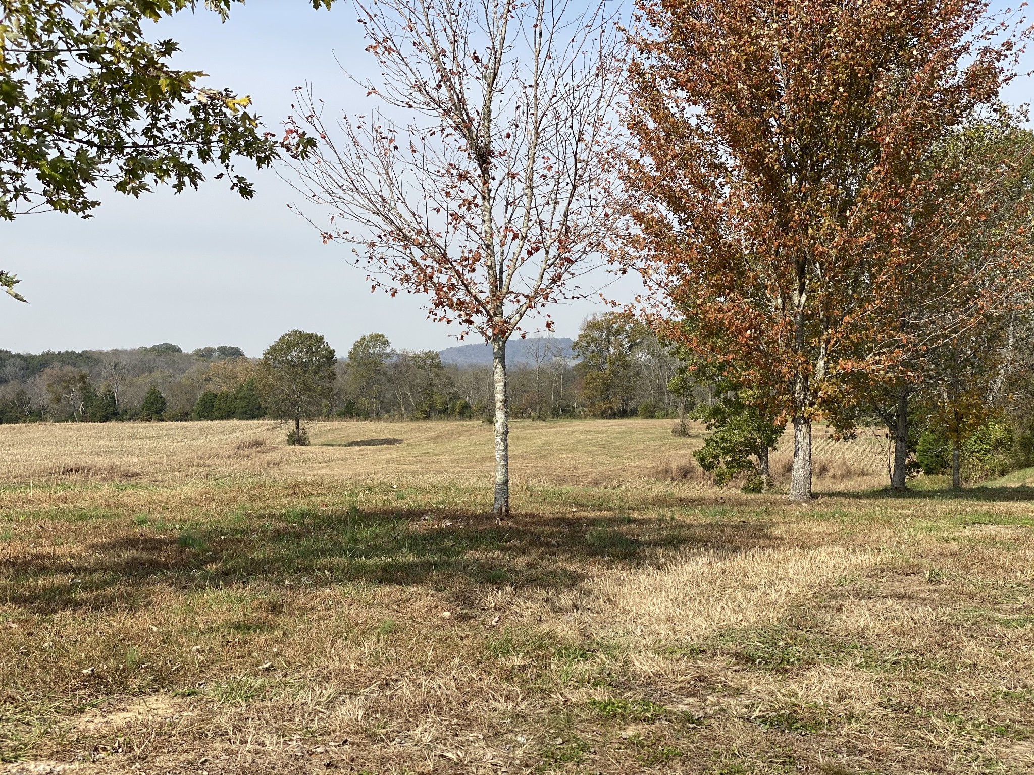 330 Rankin Road Hartsville, TN 37074 - Photo 2 of 14 Gallery Image 2