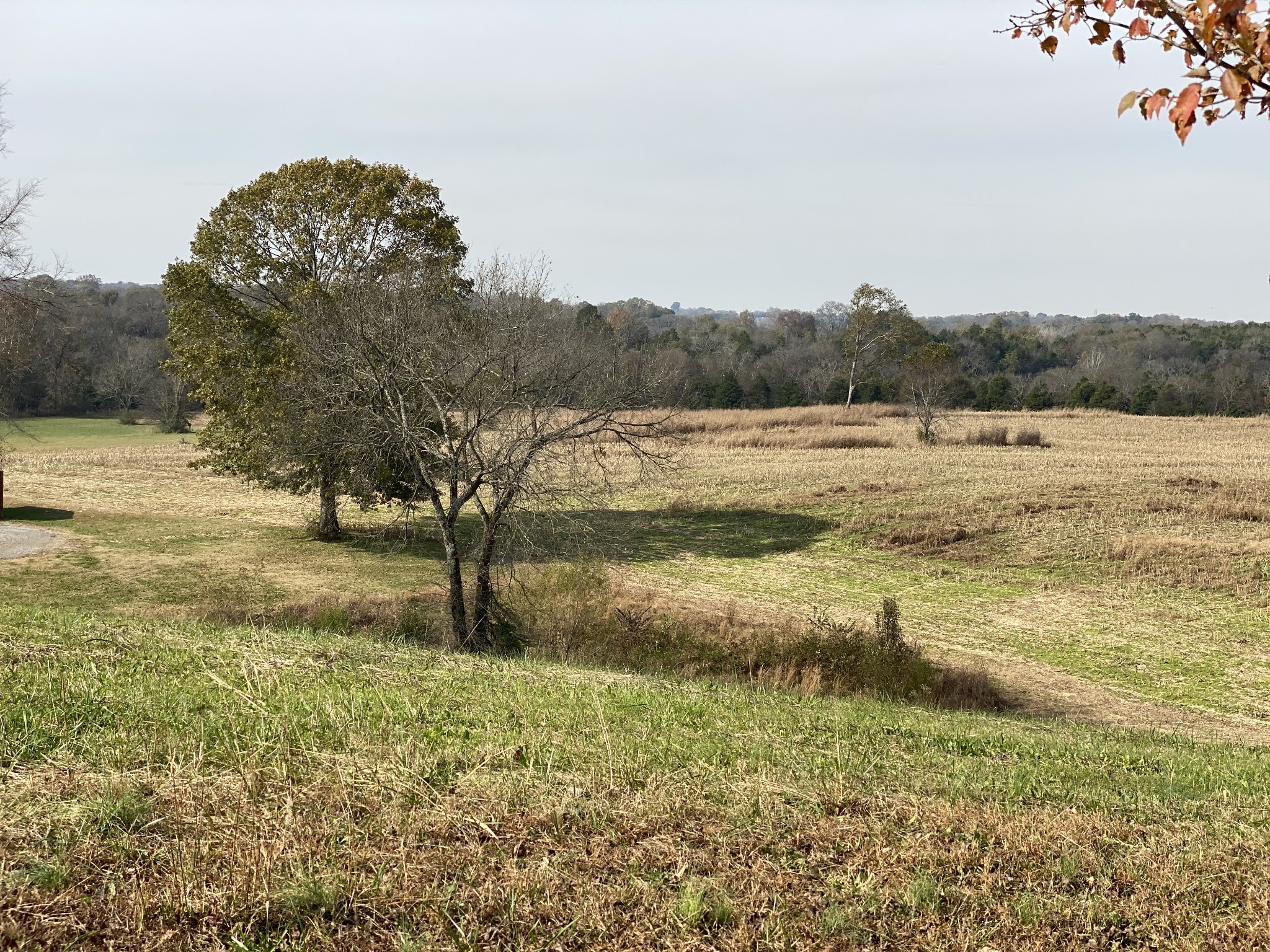 330 Rankin Road Hartsville, TN 37074 - Photo 4 of 14 Gallery Image 4