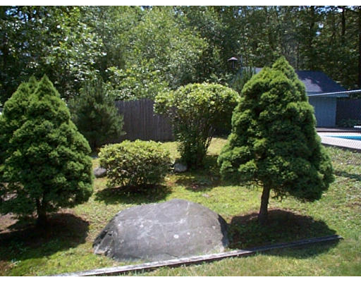 26 Pamela Road Framingham, MA 01701 - Photo 16 of 24 Gallery Image 16