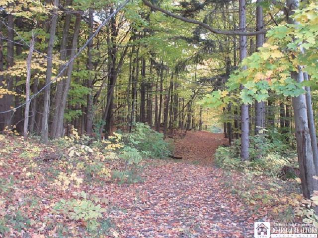 6999 Finley Road Portland, NY 14787 - Photo 1 of 1