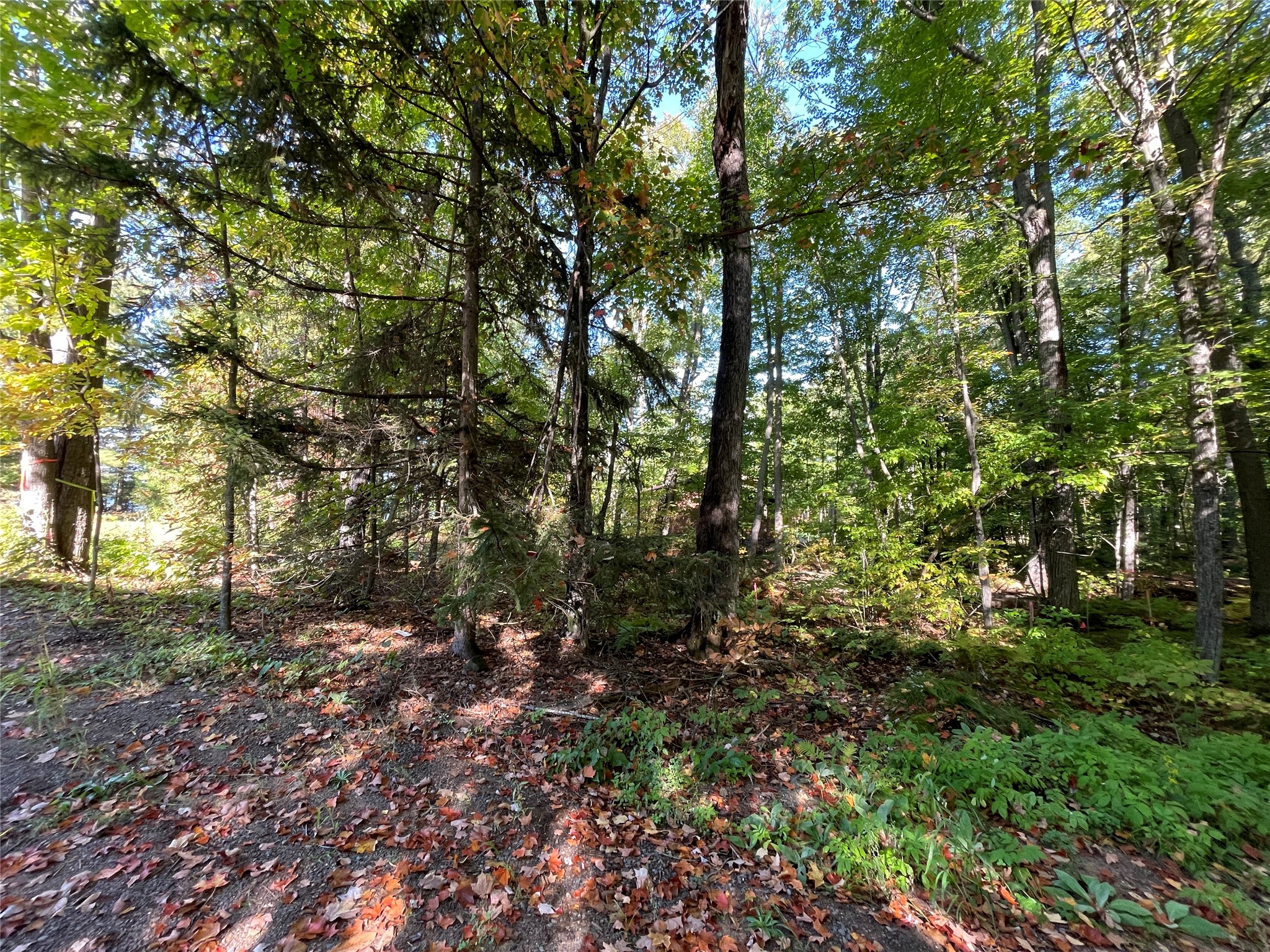 6073 North Elsie Road Stone Lake, WI 54876 - Photo 11 of 42