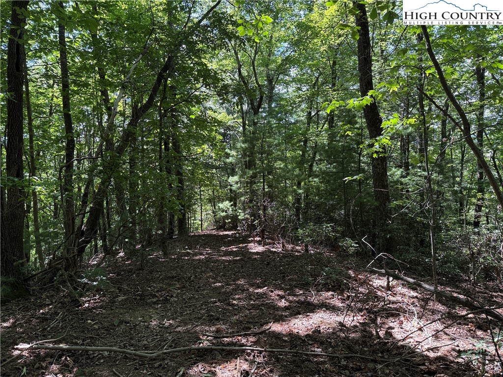 Lot 102-103 Hickory Hollow Road Purlear, NC 28665 - Photo 13 of 45 a view of outdoor space and green space