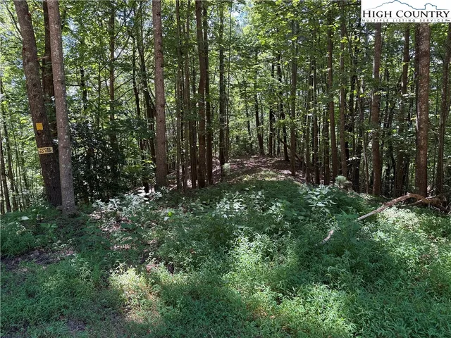 $119,900 | Lot 102-103 Hickory Hollow Road, Purlear, NC 28665