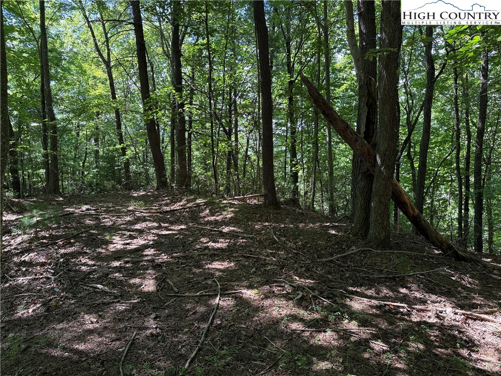 Lot 102-103 Hickory Hollow Road Purlear, NC 28665 - Photo 14 of 45 a big yard with lots of green space and trees