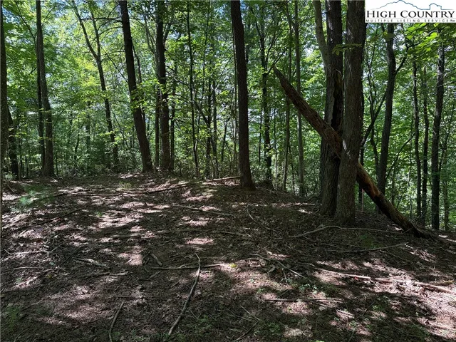 $119,900 | Lot 102-103 Hickory Hollow Road, Purlear, NC 28665