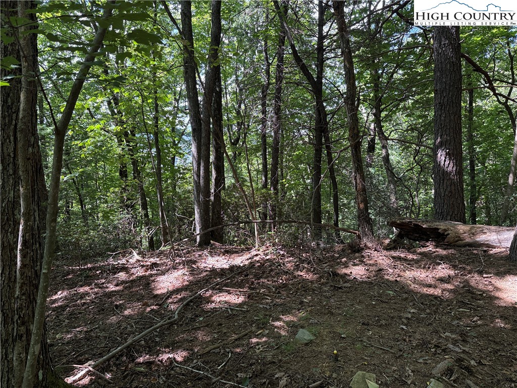 Lot 102-103 Hickory Hollow Road Purlear, NC 28665 - Photo 15 of 45 a view of outdoor space and trees