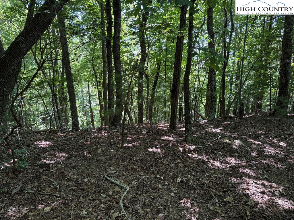 Lot 102-103 Hickory Hollow Road Purlear, NC 28665 - Photo 16 of 45 a view of outdoor space and trees