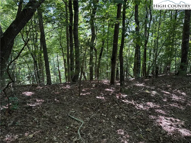 $119,900 | Lot 102-103 Hickory Hollow Road, Purlear, NC 28665