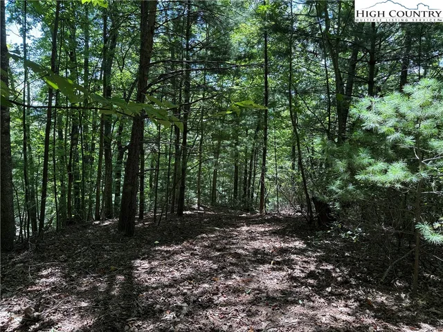 $119,900 | Lot 102-103 Hickory Hollow Road, Purlear, NC 28665
