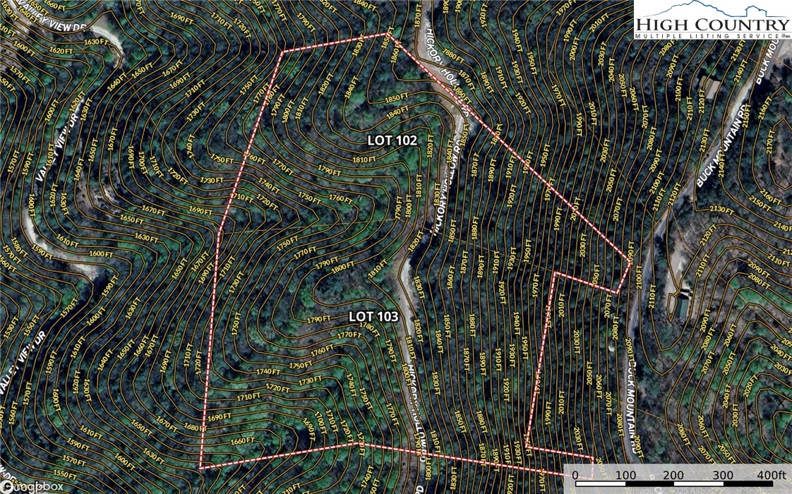 Lot 102-103 Hickory Hollow Road Purlear, NC 28665 - Photo 20 of 45 a picture of a tree