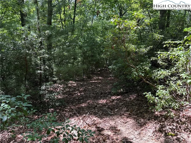 $119,900 | Lot 102-103 Hickory Hollow Road, Purlear, NC 28665