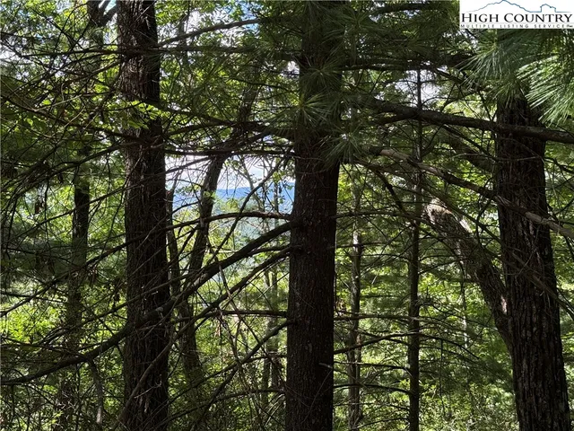 $119,900 | Lot 102-103 Hickory Hollow Road, Purlear, NC 28665