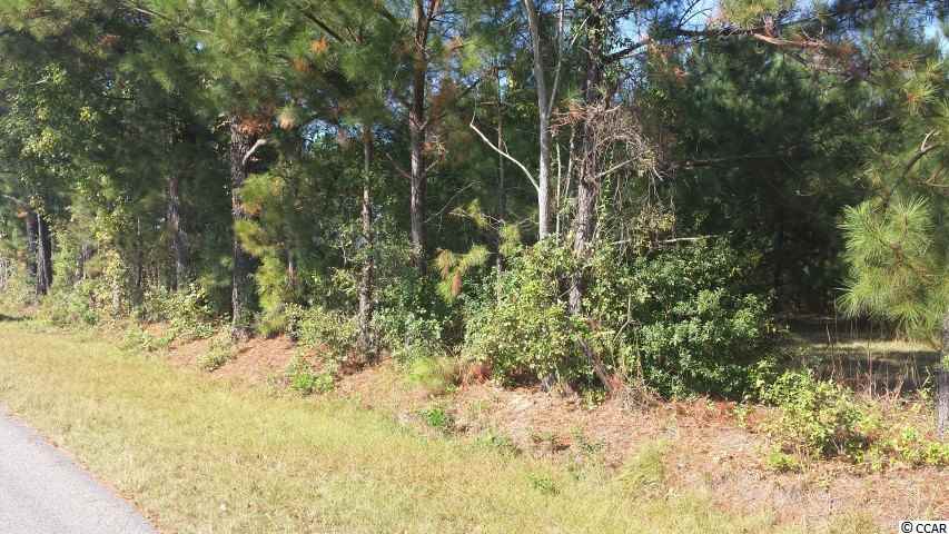 Lot 2 King Farm Road Aynor, SC 29511 - Photo 5 of 5 Gallery Image 5