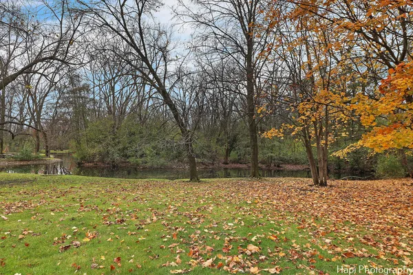 a house view with outdoor space