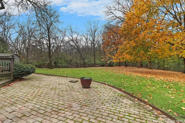 a view of a yard with plants